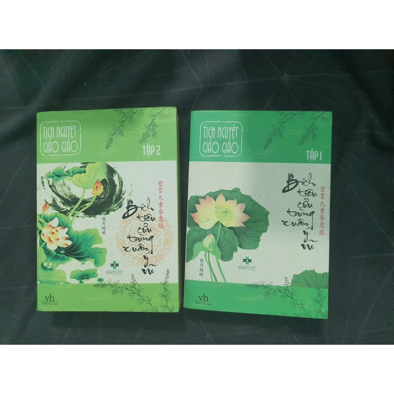 "Bích tiêu cửu trùng xuân ý vũ" - Tịch Nguyệt Giảo Giảo 498936
