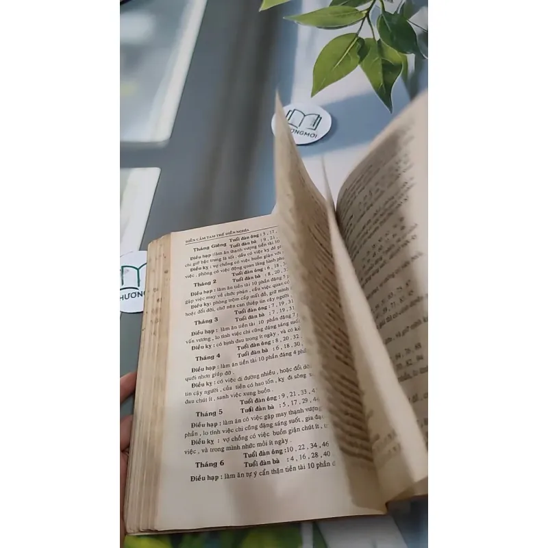 [MIỄN PHÍ BỌC SÁCH] Diện Cẩm Tam Thế - Dương Công Hầu 727288