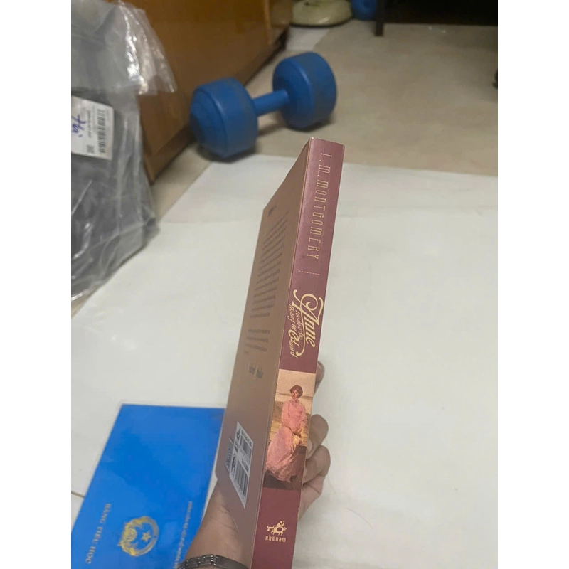 Anne tóc đỏ ở đảo hoàng tử Edward - L.M.Montgomery 462959