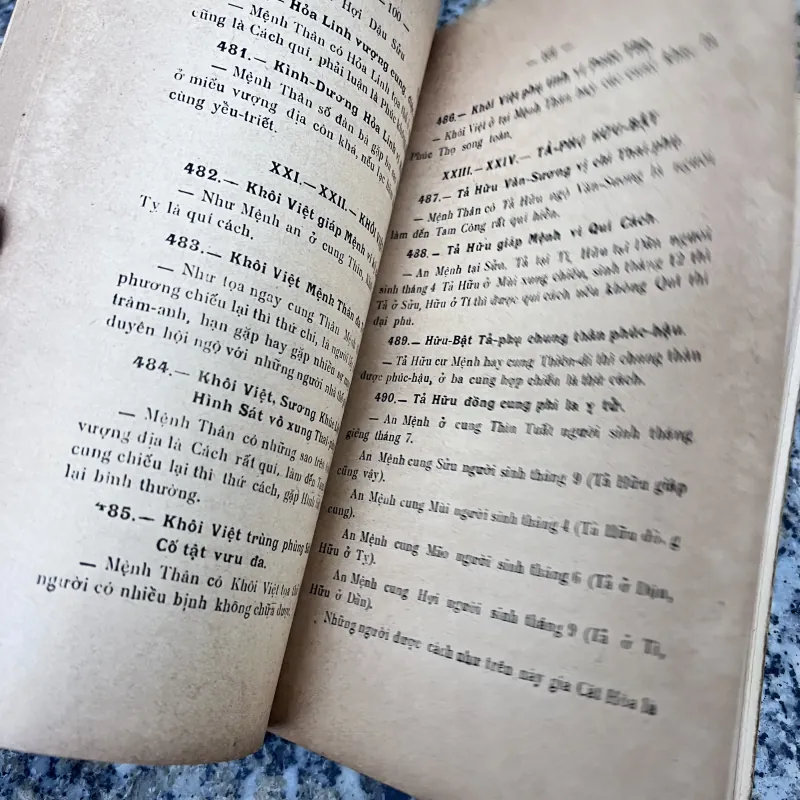 Tử vi đẩu sổ - Nguyễn Mạnh Bảo  785003