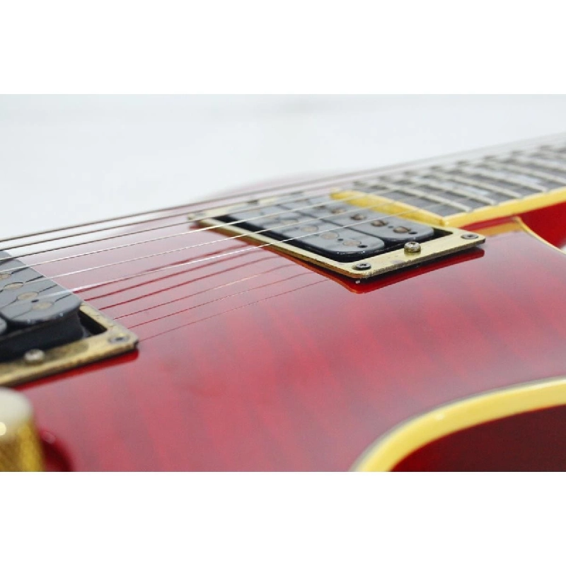 ＡＲＩＡ ＰＲＯ ＩＩ ＰＥ－１０００ＴＲ - Hàng hiệu Authentic 879301