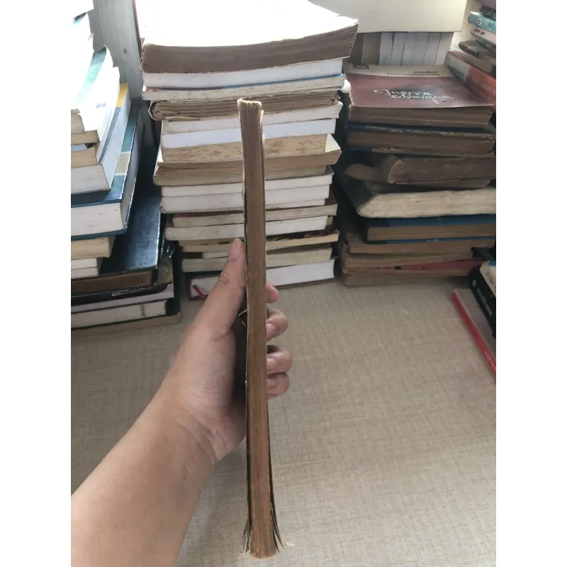 Tay trắng làm nên-Nguyễn Hiến Lê dịch 961646