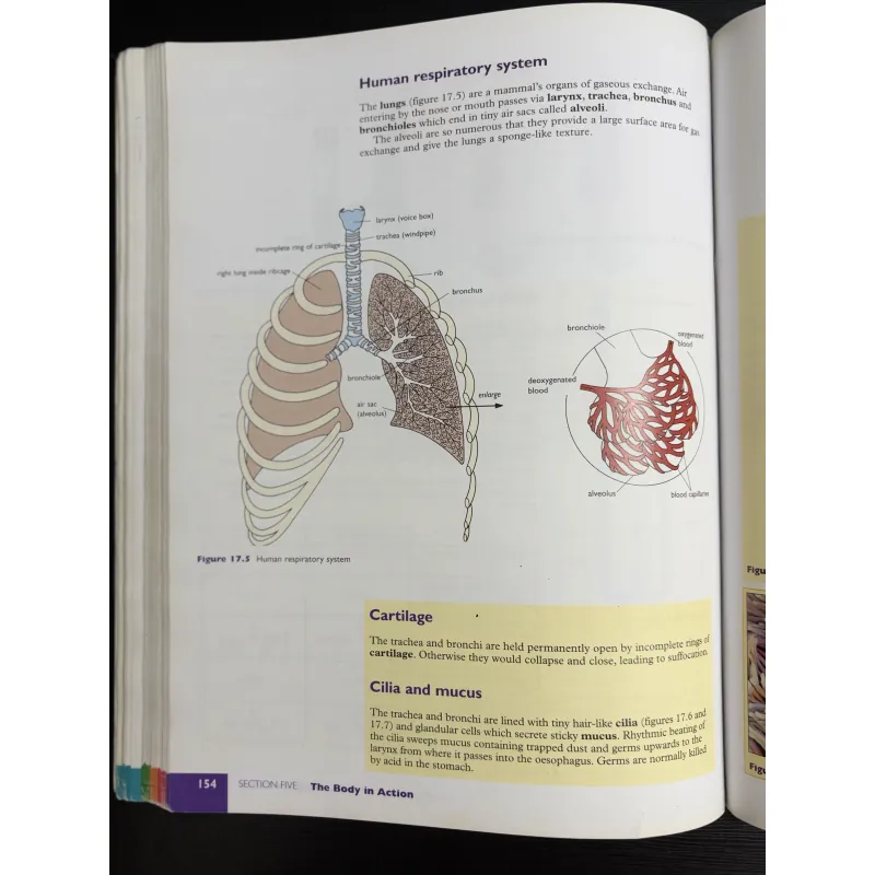 Standard Grade Biology – Sách Sinh học chuẩn chương trình Anh 933903