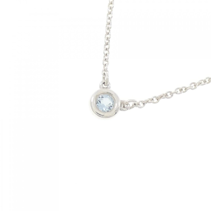 Dây chuyền Tiffany By The Yard - Hàng hiệu Authentic 842248