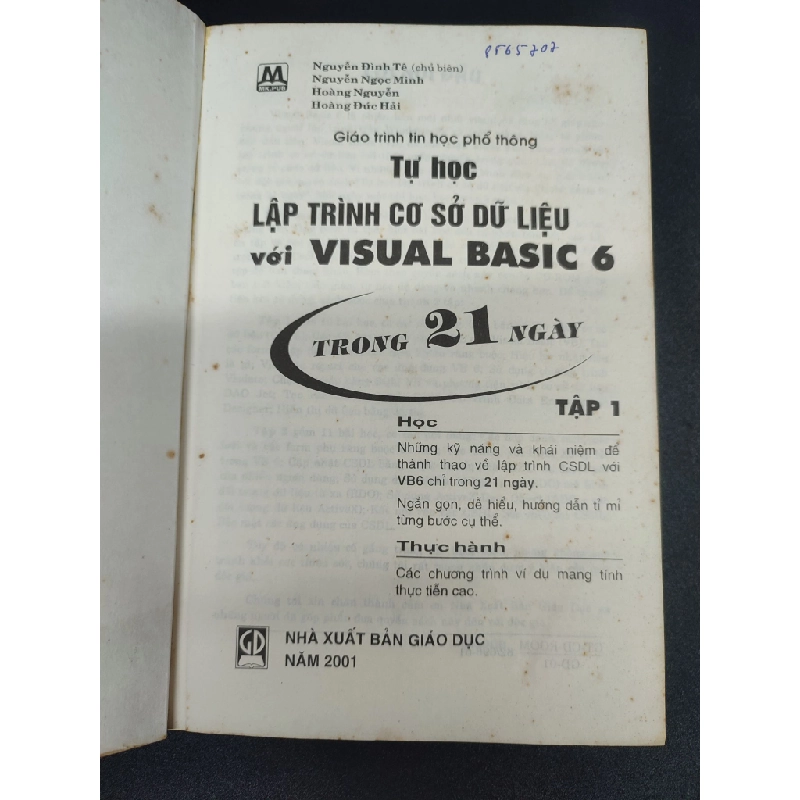 Bộ 2 cuốn lập trình cơ sở dữ liệu với Visual Basic 6 năm 2001 mới 70% ố vàng HCM.TN2602 348228