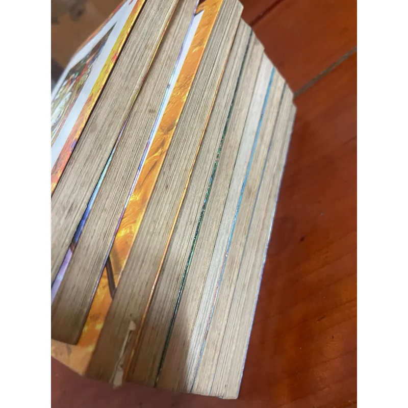 Truyện tranh Mush Hoạ sĩ thiên tài Yamada Takatoshi Bộ 9 cuốn 1057965