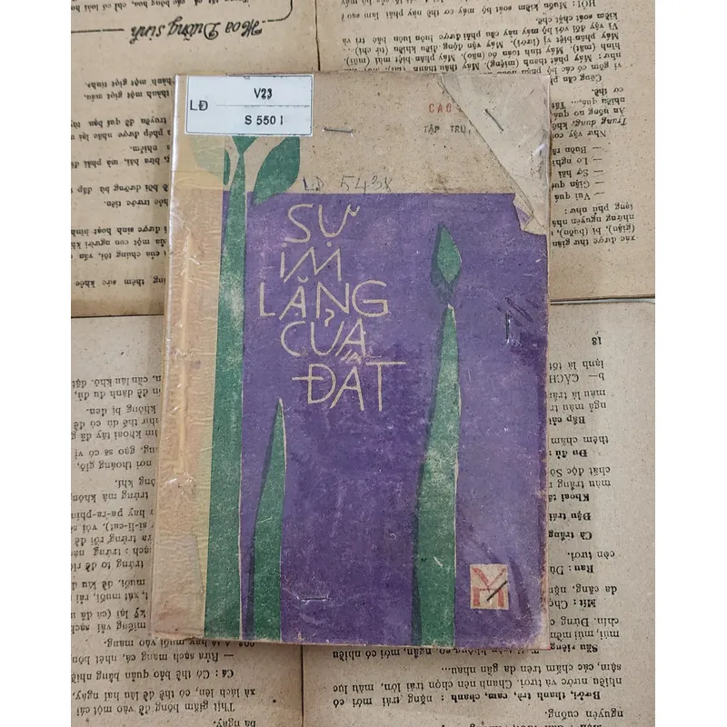 Truyện ngắn của Cao Linh Quân: Sự im lặng của đất 707719