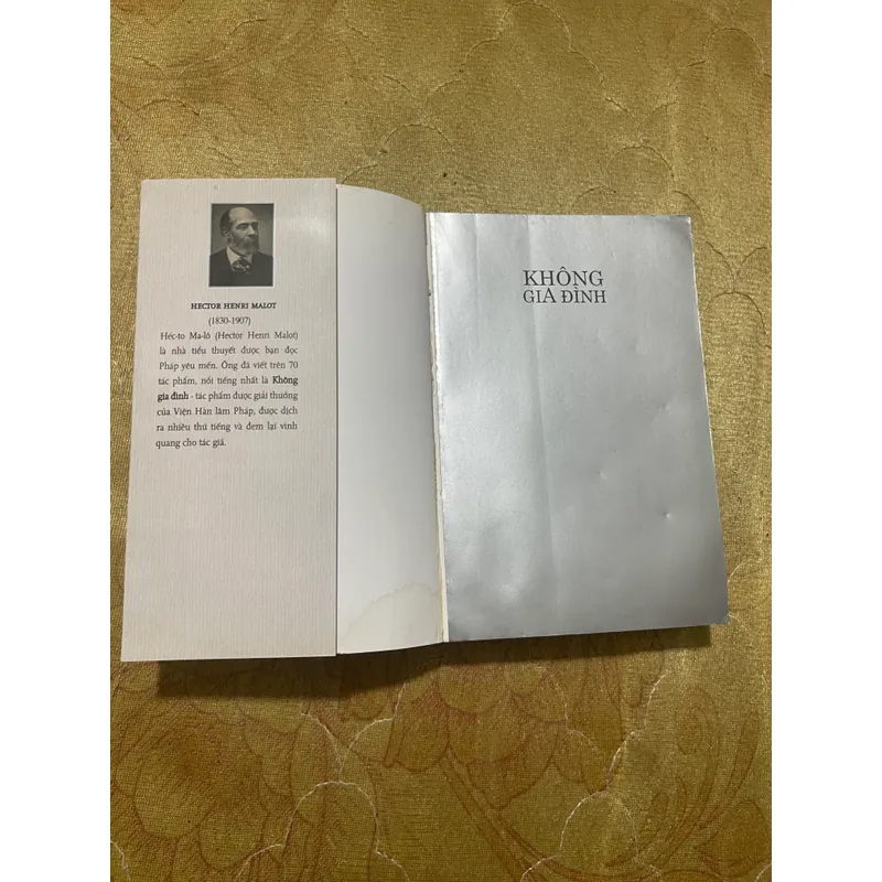 COMBO KHÔNG GIA ĐÌNH+TRONG GIA ĐÌNH- HECTOR MALOT 559426