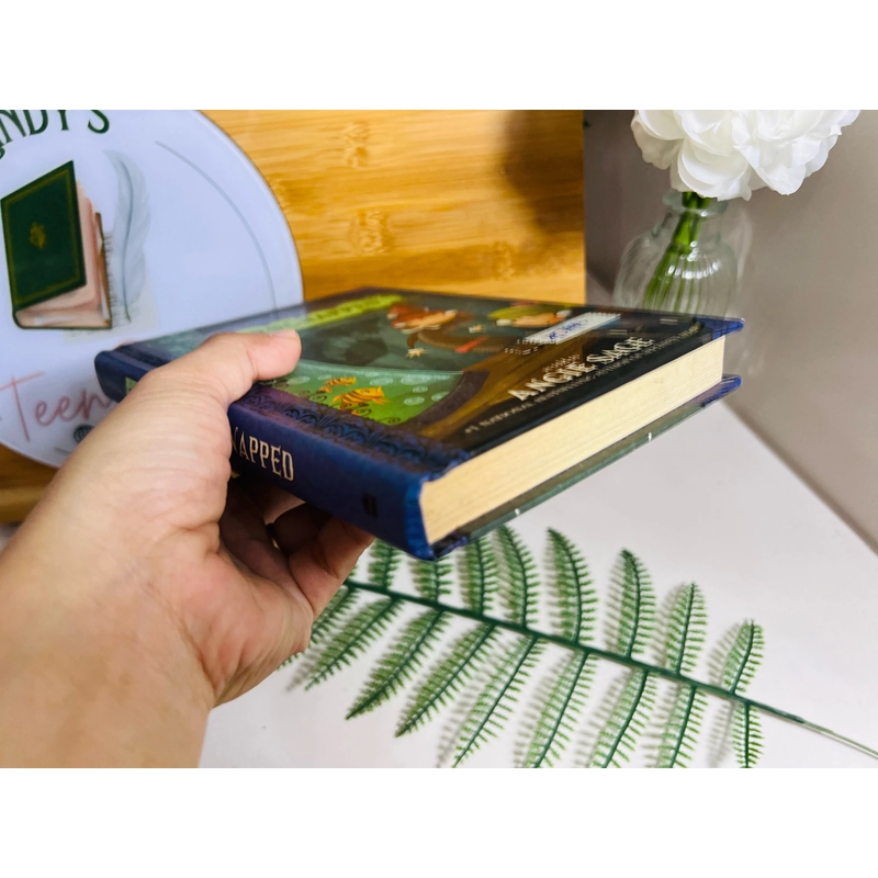 [Sách 2hand từ US] Like new 90% - Frognapped – Angie Sage 475222