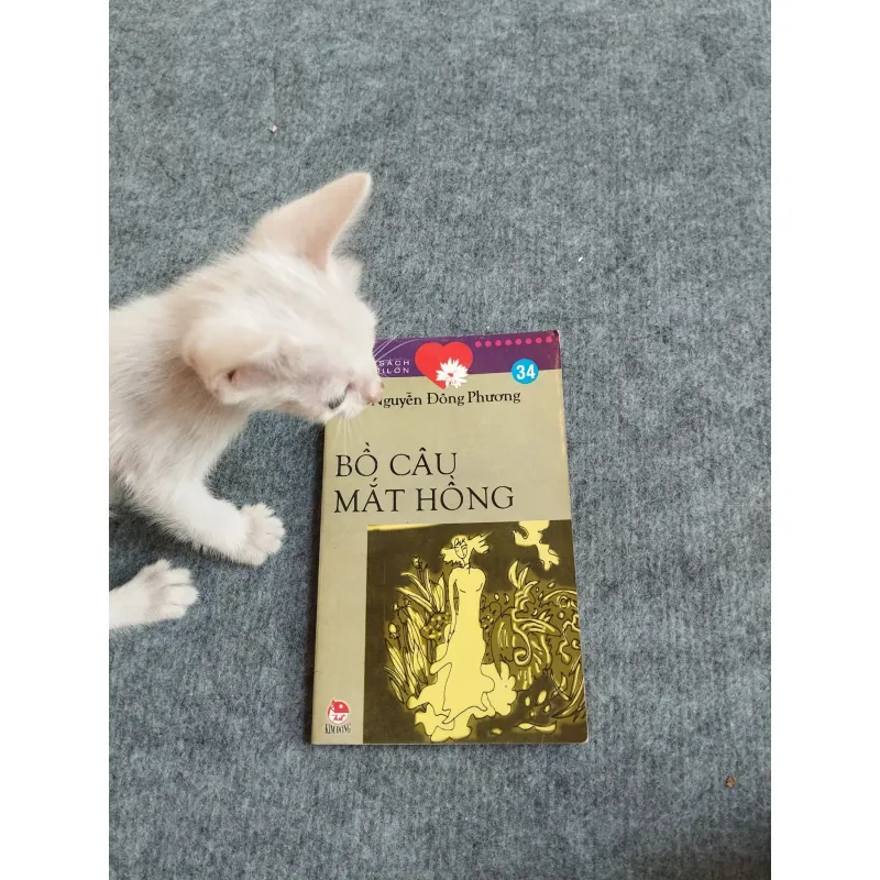 BỒ CÂU MẮT HỒNG - NGUYỄN ĐÔNG PHƯƠNG 567829