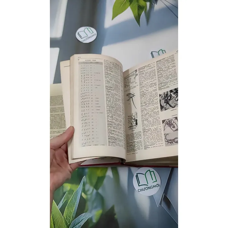 [MIỄN PHÍ BỌC SÁCH] [XƯA] Petit Larousse Illustré 1975 (1975) 990436