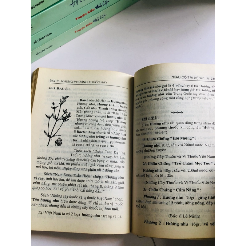 NHỮNG PHƯƠNG THUỐC HAY “ RAU CỎ TRỊ BỆNH “ 540885