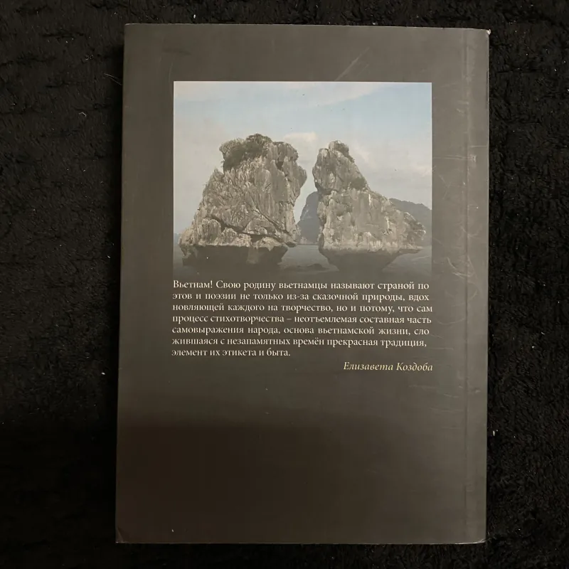 Đôi Cánh- Mai Văn Phấn, song ngữ 1021941