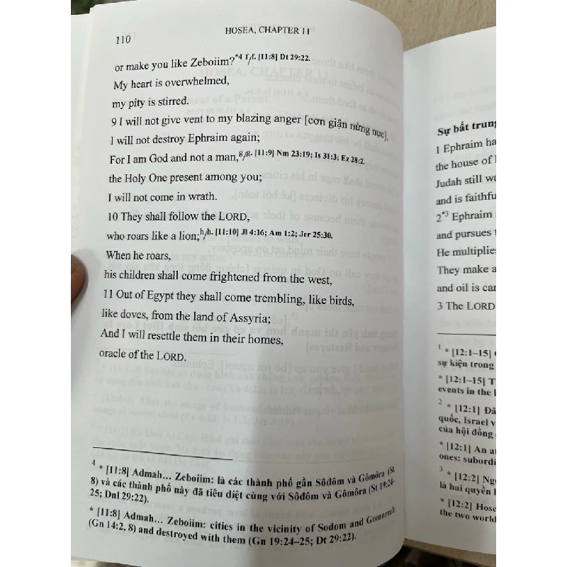 Các ngôn sứ tiền lưu đày - Đa Minh Phạm Xuân Uyển 784462