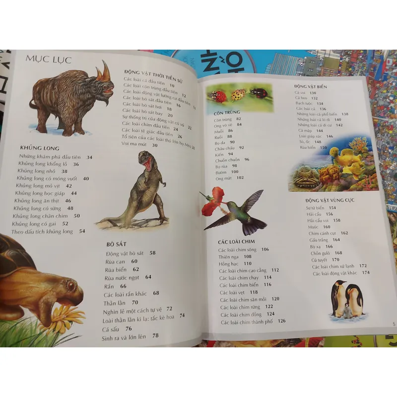 Tủ Sách Tri Thức Bách Khoa Bằng Hình - Thế Giới Động Vật | mới 100% bìa 350 1052778