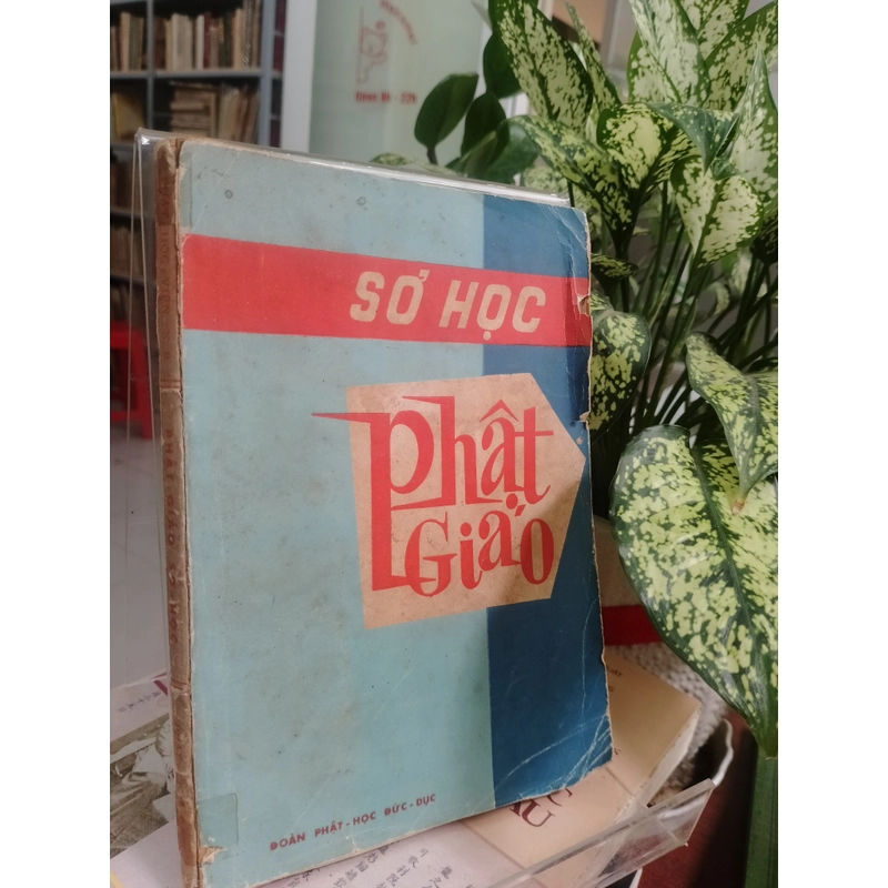 SƠ HỌC PHẬT GIÁO 
 518623