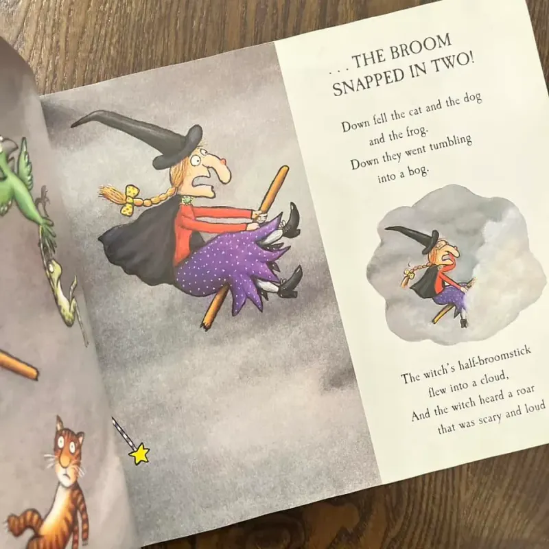 Room on the Broom 973917