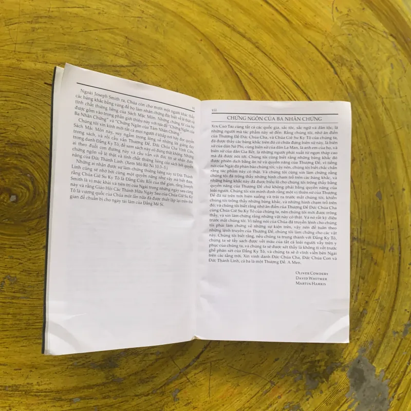 SÁCH MẶC MÔN - MỘT CHỨNG THƯ KHÁC VỀ CHÚA GIÊ SU KY TÔ 958136