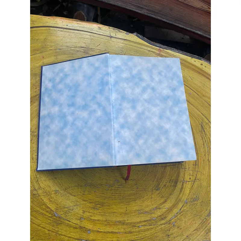 COMBO TỪ ĐIỂN ANH - VIỆT & TỪ ĐIỂN VIỆT - ANH - BÙI PHỤNG 730402