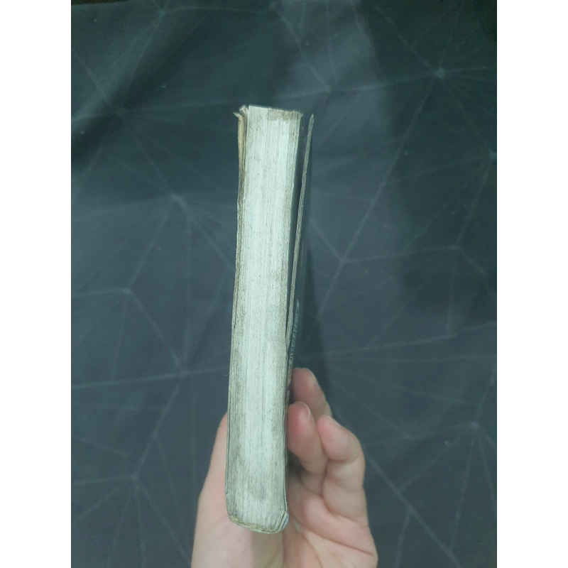 "Cổ tích của người điên" - Thời Thần 498941
