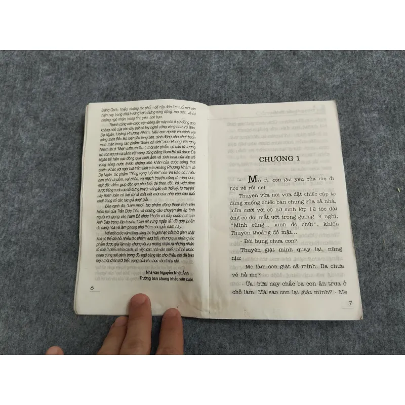 CẨM CHƯỚNG ĐỎ - BÙI ĐẶNG QUỐC THIỀU 567759