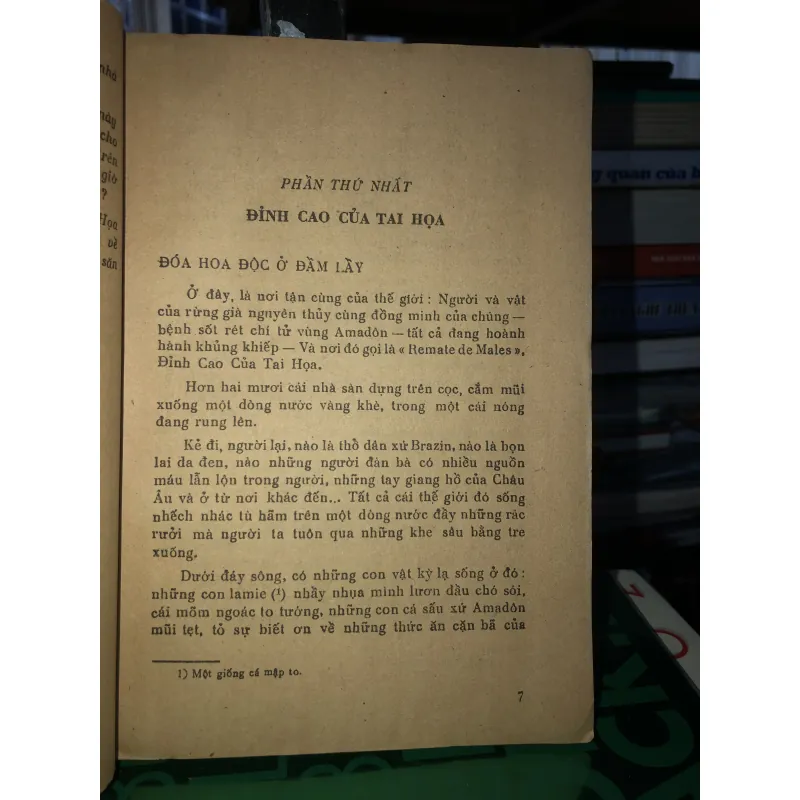 Những người săn phong lan - Knert Loherdorzt 784734