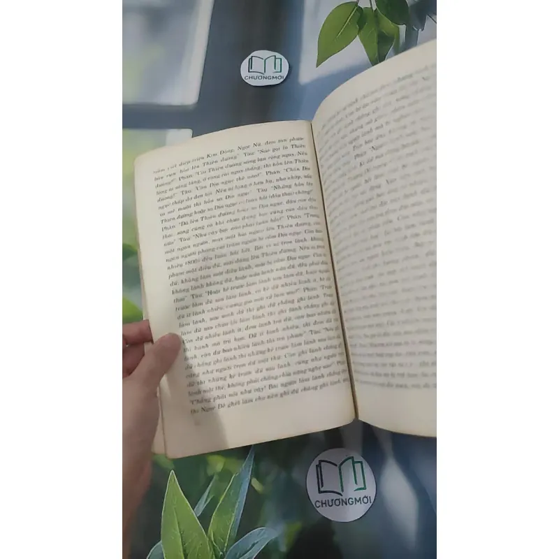 Hồi Dương Nhơn Quả 1018902