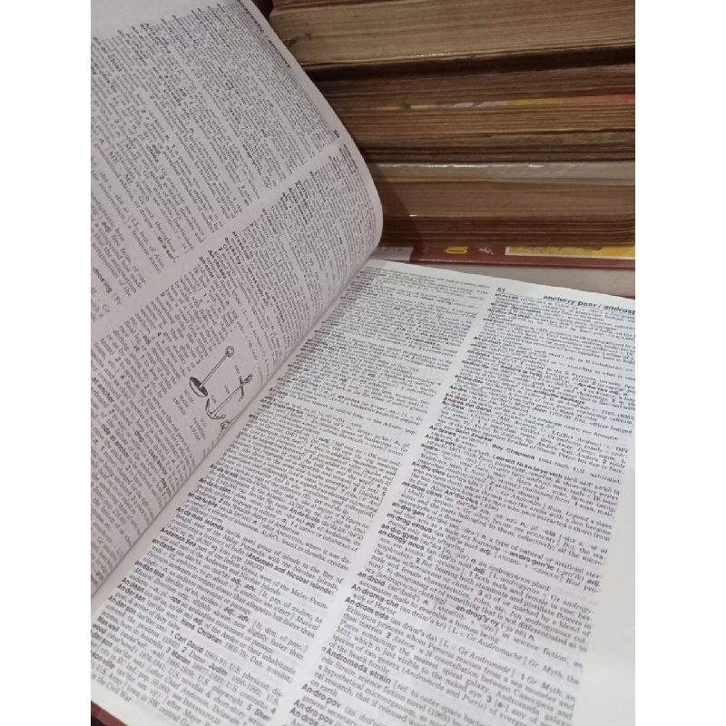 Webster's new world College dictionary 778051