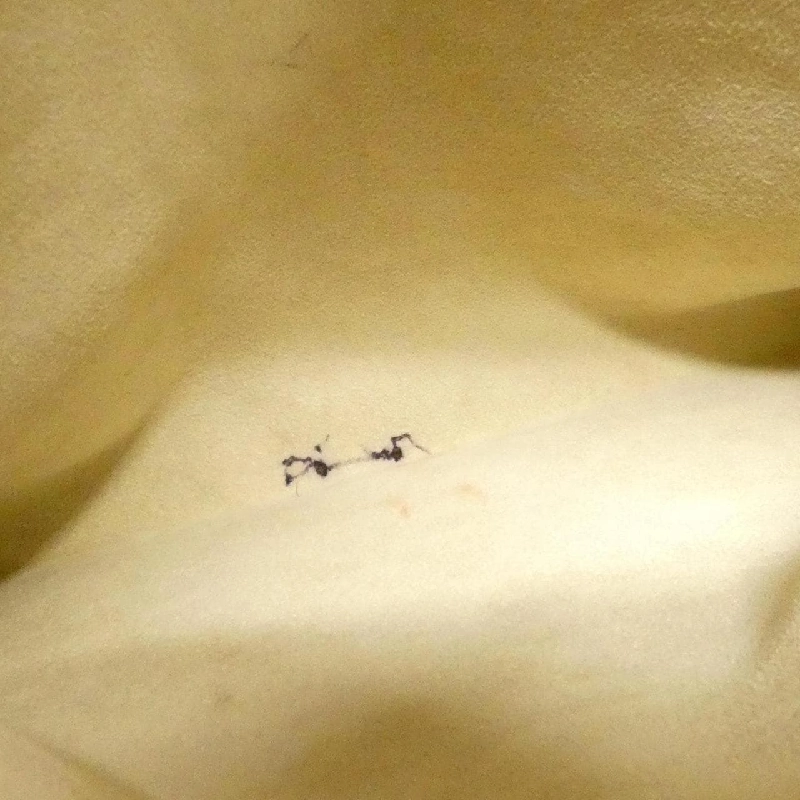 Túi xách Louis Vuitton Damier Azur Hampstead MM N51206 - Hàng hiệu Chính hãng 803714