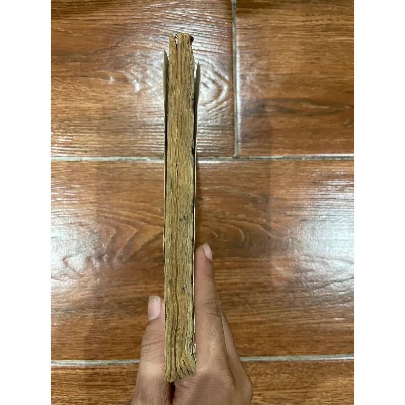 Chữ, Văn, Quốc Ngữ - Nguyễn Văn Trung (19) 576400