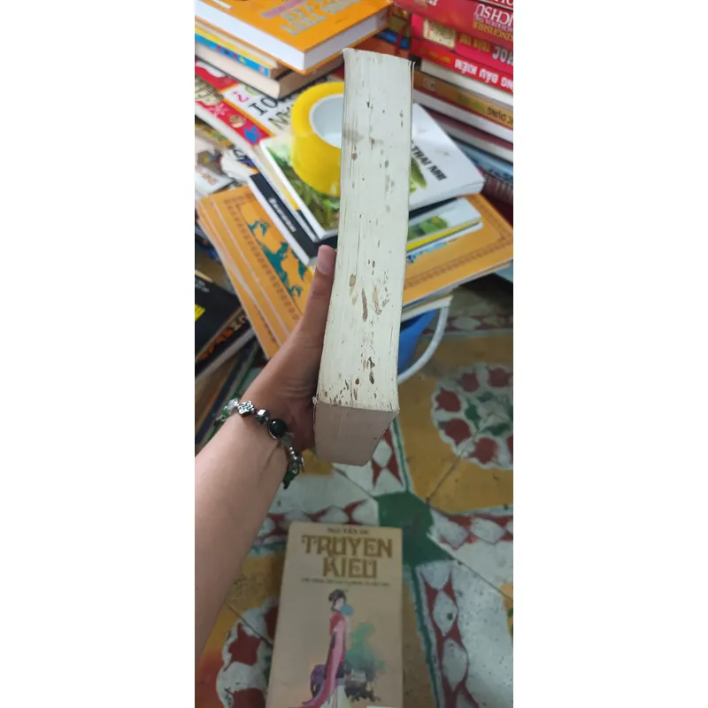 Truyện Kiều Những Lời Bình 559703