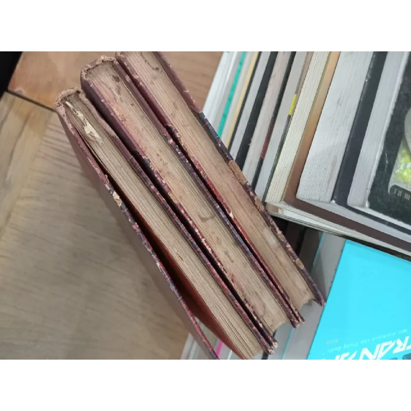 Butterfly English French magazine 702394