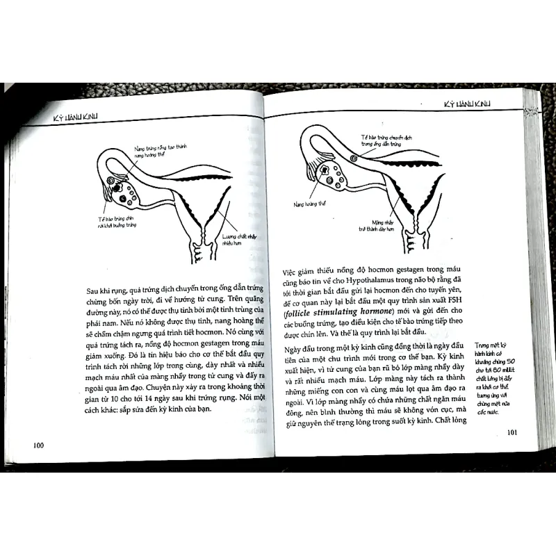 TẤT CẢ NHỮNG GÌ THIẾU NỮ MUỐN BIẾT - TRUDE AUSFELDER 1029798