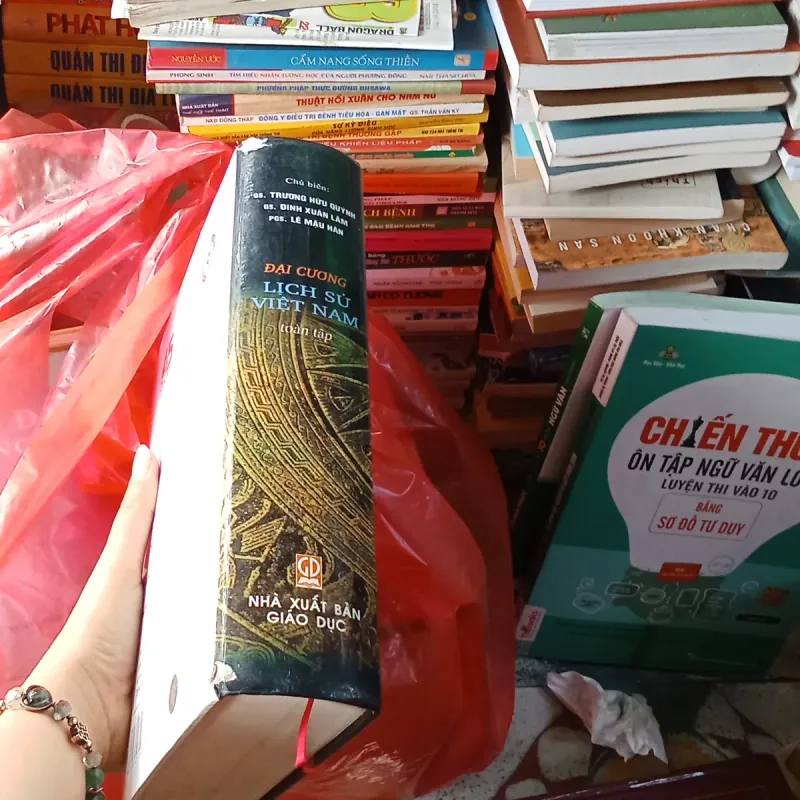 Đại Cương Lịch Sử Việt Nam Toàn Tập - GS. Trương Hữu Quýnh  1002373