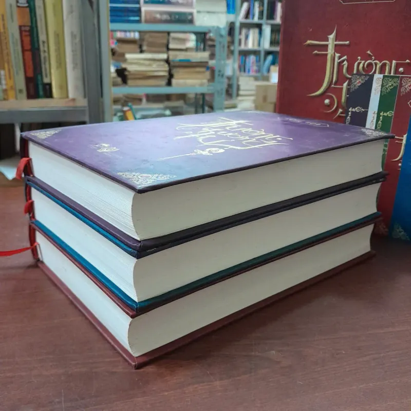 TRƯỜNG TƯƠNG TƯ - ĐỒNG HOA ( LƯƠNG HIỀN DỊCH) (BÌA CỨNG) 993022