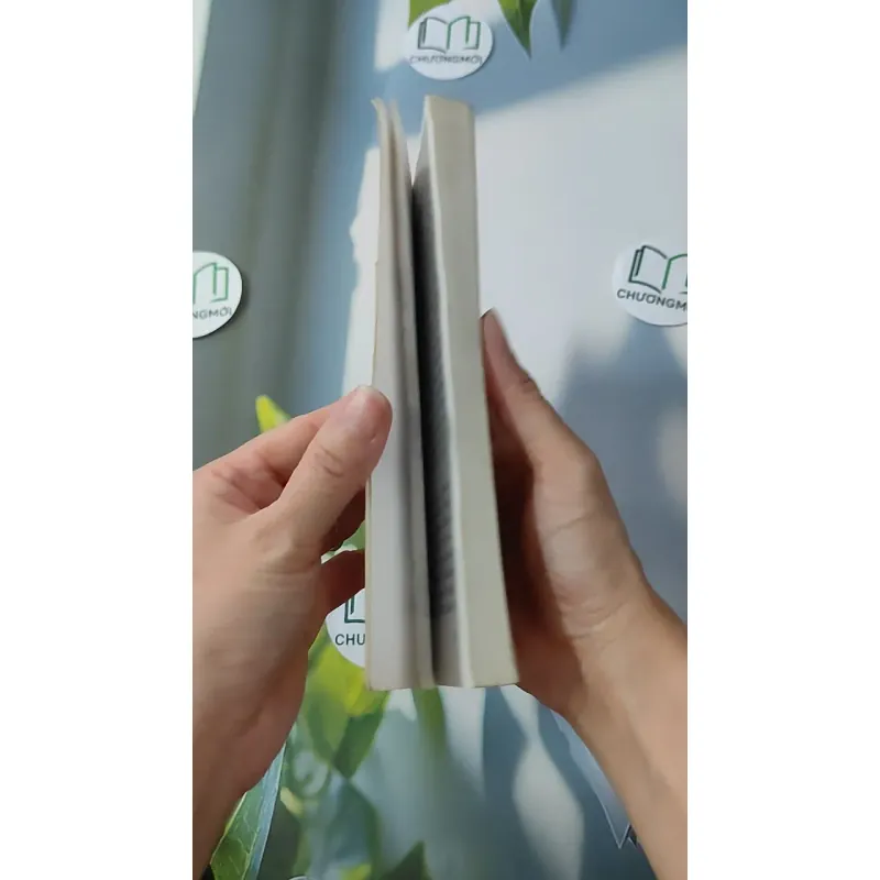 Cơ Sở Văn Hóa Việt Nam - Trần Diễm Thúy 928535