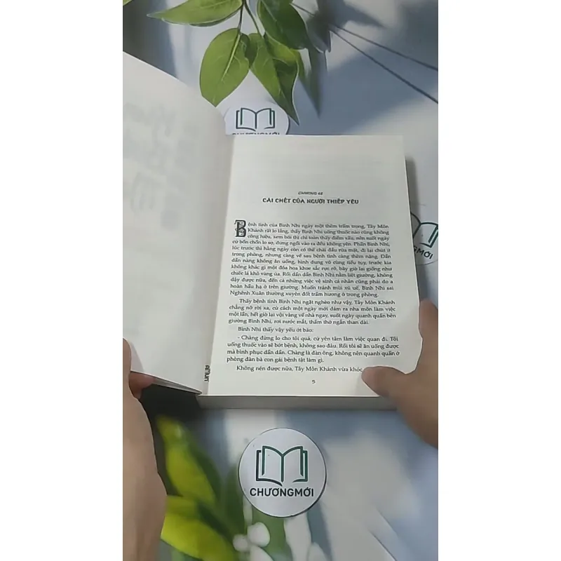 Kim Bình Mai 2 688580