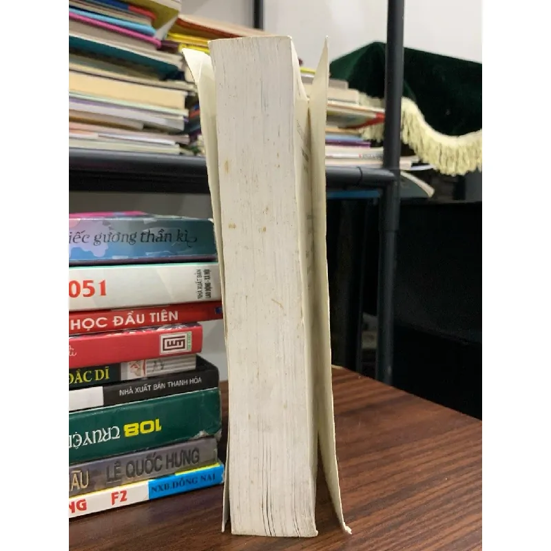 Chiếc Lexus và Cây Ô liu – Thomas L. Friedman 574902