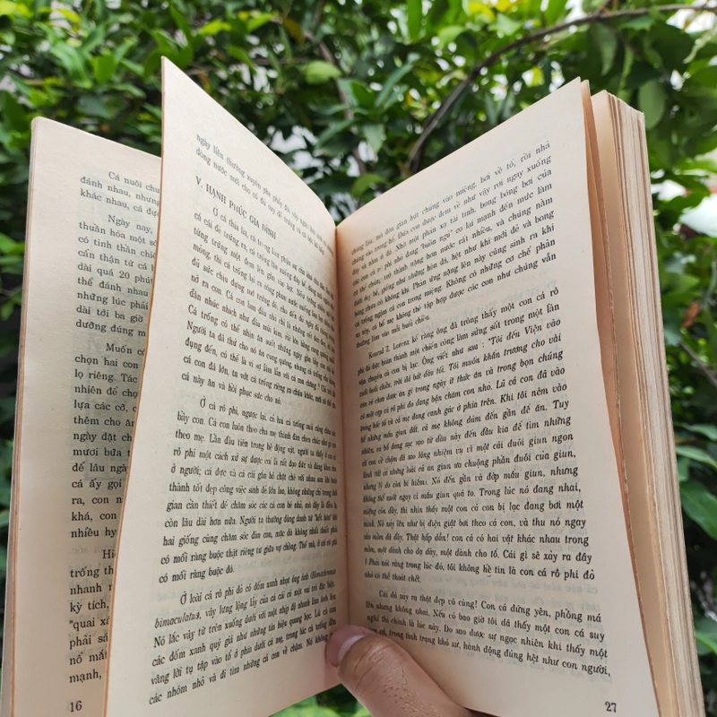 Cá Cảnh - PTS Sinh Học Võ Văn Chí 532117