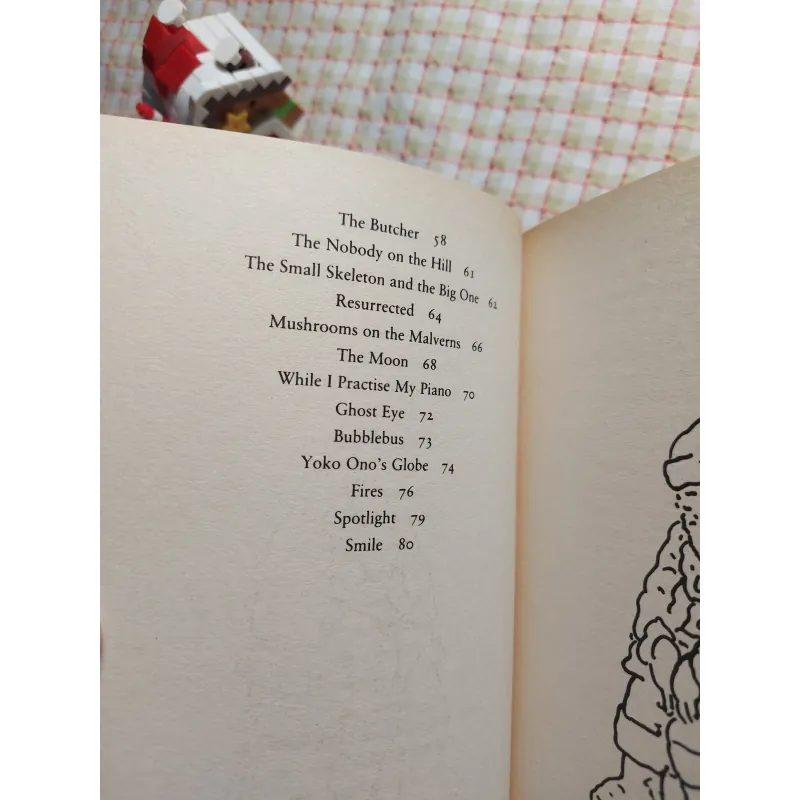 Sách Fatso in the Red Suit and Other Poems – Matthew Sweeney 751828