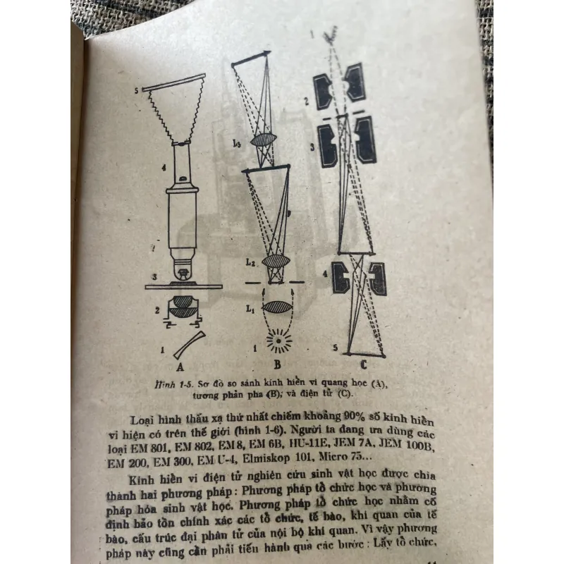 Tổ chức phôi thai học - sách y -650 trang  1020277