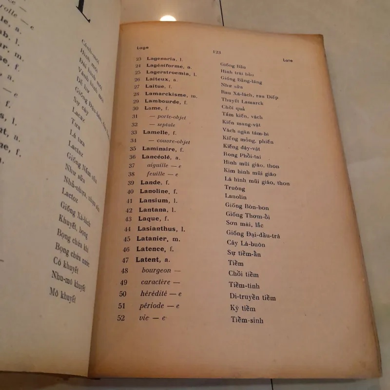 DANH TỪ THỰC VẬT PHÁP VIỆT 749070