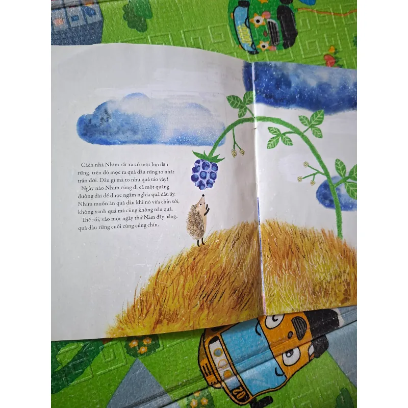 Bạn Nhím Ba Phải 1024157