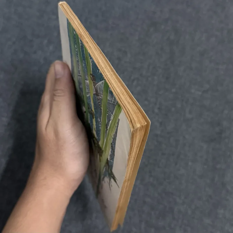 Ngôi nhà trong cỏ - Lý Lan 799600