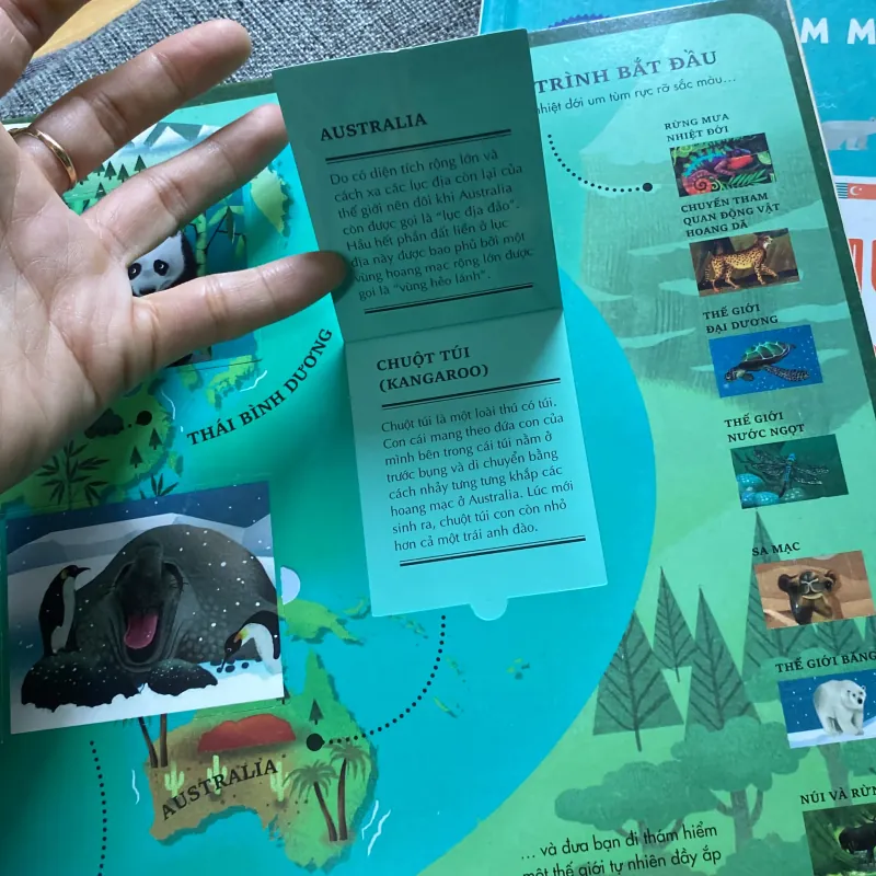 Atlas da tương tác  về động vật hoang dã 766035