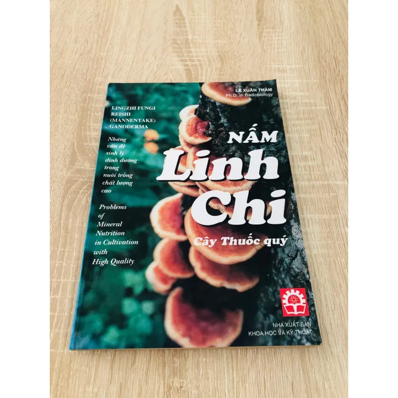 NẤM LINH CHI CÂY THUỐC QUÝ 974766