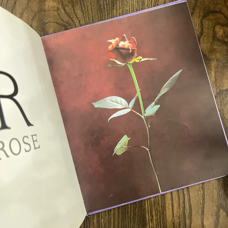 ✨𝑫𝒐𝒘𝒏 𝒊𝒏 𝒕𝒉𝒆 𝑮𝒂𝒓𝒅𝒆𝒏 𝑨𝒍𝒑𝒉𝒂𝒃𝒆𝒕 𝑩𝒐𝒐𝒌✨ 693172