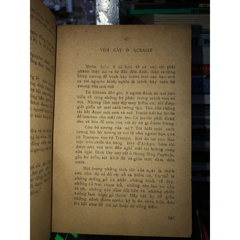 Cá voi trắng - Hơmơn Menvin 795448