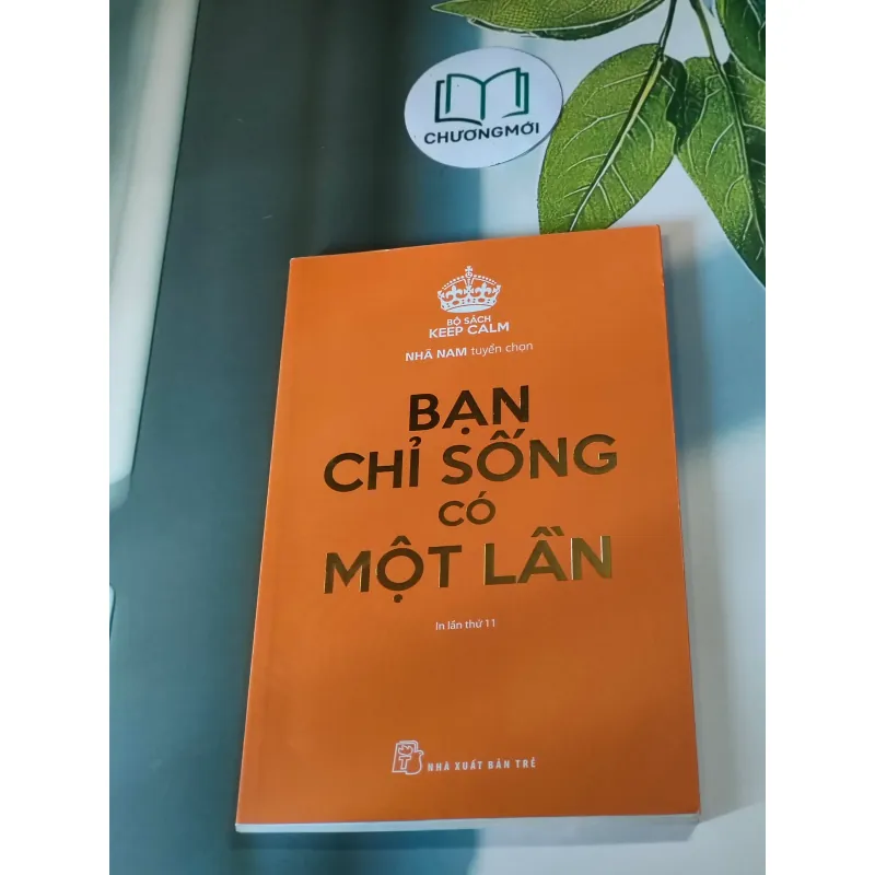 Bạn chỉ sống có một lần - nhà sách Nhã Nam 607738