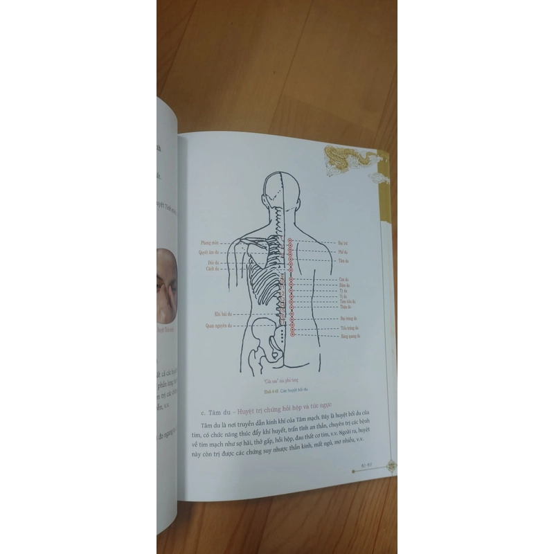 DƯỠNG SINH THÔNG KINH LẠC  517246